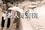 讀《老人與海鷗》有感集錦15篇