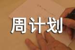 企業(yè)庫管周計劃怎么寫通用