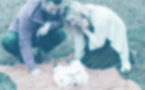 �P(gu��n)�ڰְ֋���������(15ƪ)