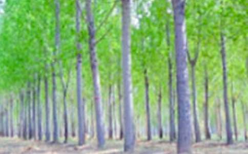 ����İח������ģ����x23ƪ��