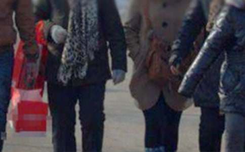 拜訪林中的朋友作文