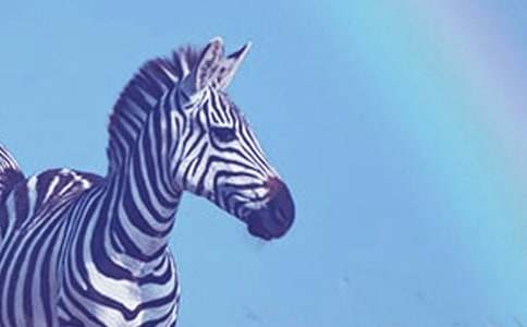 �Y׌���R�����ģ����x47ƪ��