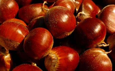 ���x��������500����ƪ