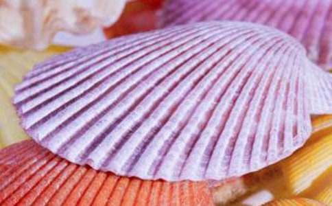 ����ؐ�����ģ����x40ƪ��