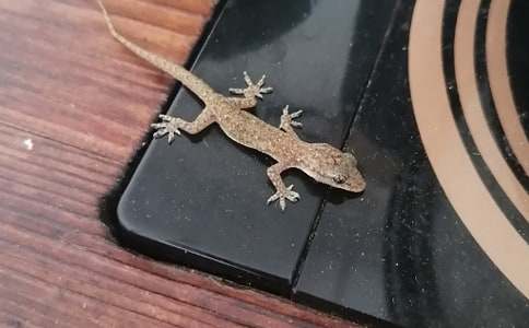 ���P(gu��n)�ڻ�����500��7ƪ