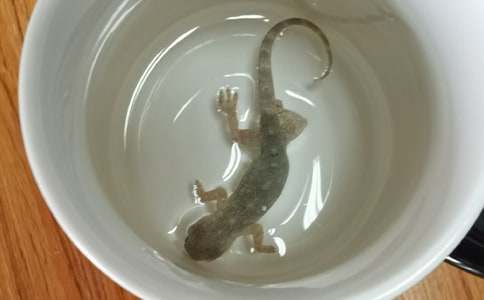 ����Ʒ���ڻ�����500��3ƪ