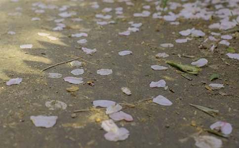 ̫�����������