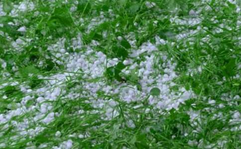 �����T����������300��3ƪ