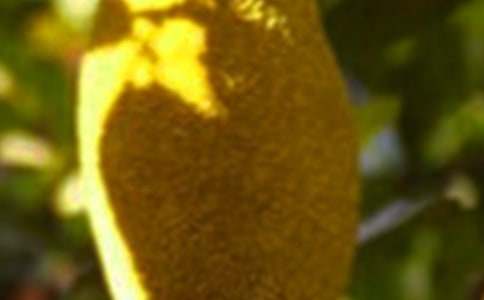 ���}��_700��