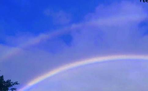 �L���Ĳʺ羫�x����