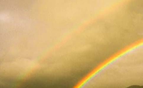 有關(guān)心中的彩虹初三作文(精選45篇)