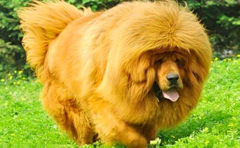 ���P(gu��n)��������300�֣�ͨ��26ƪ��