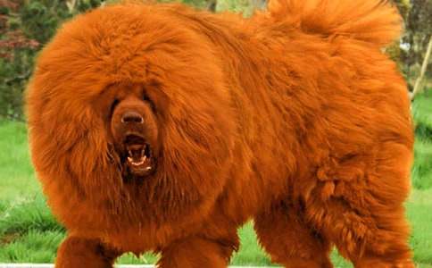 ��������400��10ƪ