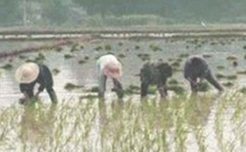 ��������400�֣����x44ƪ��