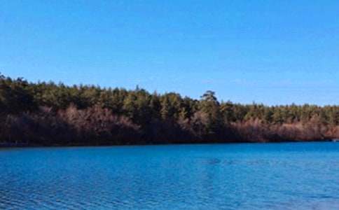 ���]���L��ɽ�ٲ�����