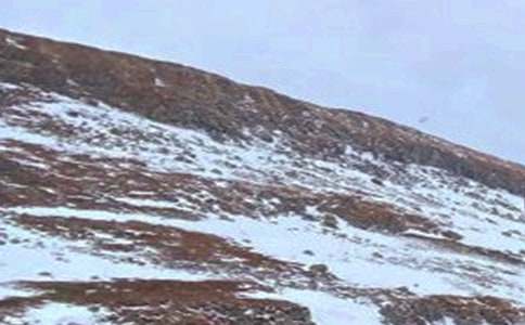 長白山游記作文(精選5篇)