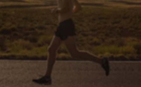 �����L������600��9ƪ