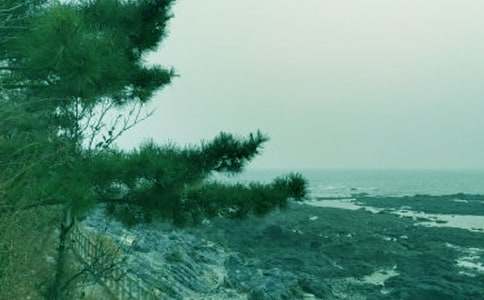 ���б����ڴ��L�(y��u)�����ģ�ͨ��16ƪ��