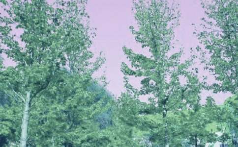 �����P(gu��n)�ڴ��L(f��ng)������ӛ���ă�(y��u)�����ģ�ͨ��22ƪ��