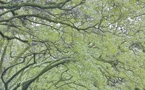 ���ݴ��L(f��ng)�������~�Z