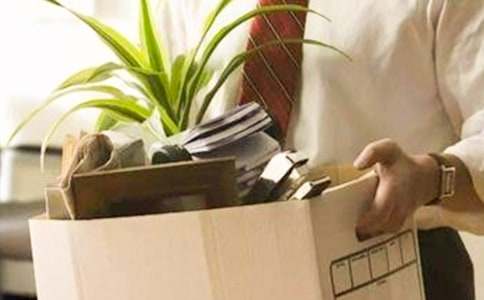 2017�o��ģ��