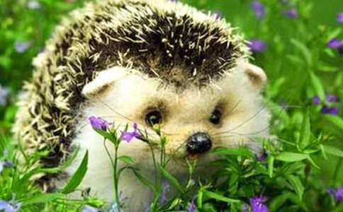 ��⬺������꼉����