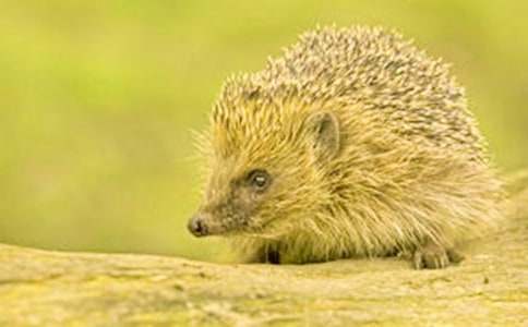 �ۼ��ʵ�С���Ԣ�Թ���