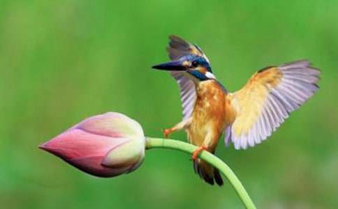 ����BΣ�C(j��)����