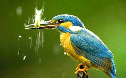 ���B���ģ�ͨ��25ƪ��