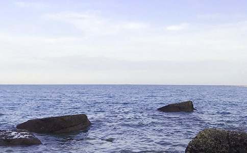 �Ґ۴���������