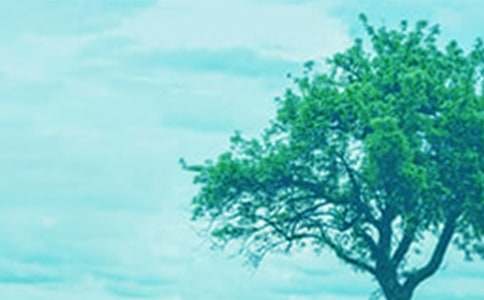 �������(sh��)���}����������