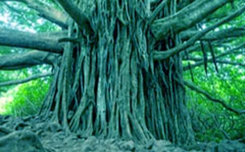 �������(sh��)��������