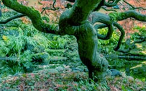 �����������(sh��)����