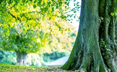 �������������郞(y��u)�����ģ����x44ƪ��