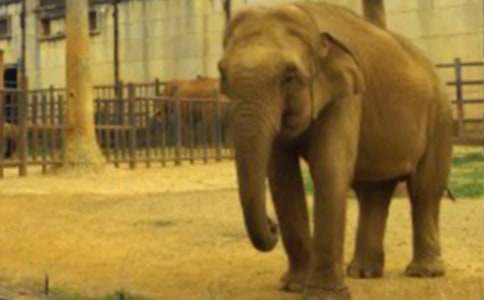 ���P(gu��n)����ͯԒ����400����ƪ