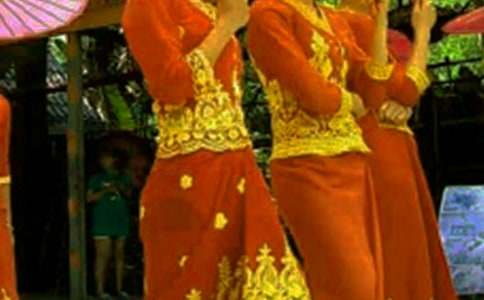 傣族的風采作文