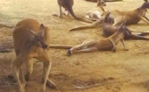 �����M��С�W����