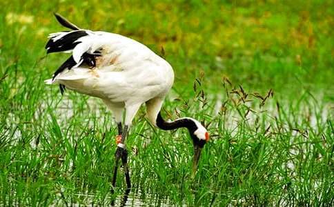 �����ĵ���Q_750��