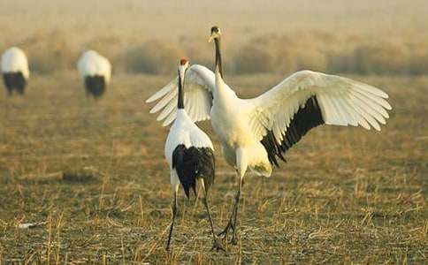 �����ĵ���QͯԒ����