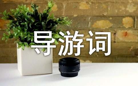 �������Tʯ�ߌ����~����