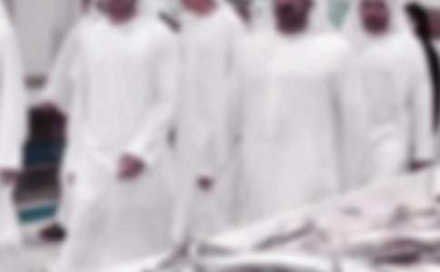 寒假_寒假迪拜游作文