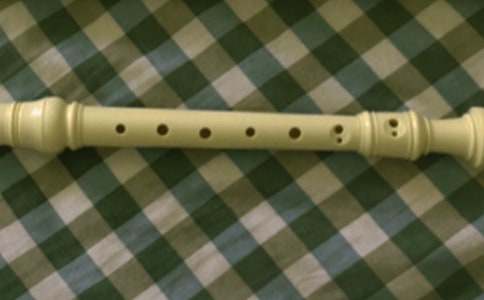 笛子作文600字(精選24篇)