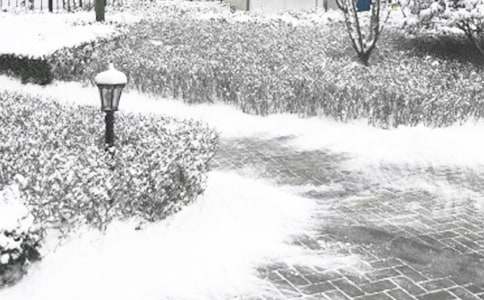 冬季寒風(fēng)的作文250字