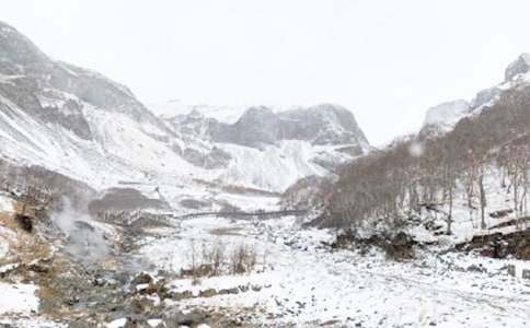 冬季哈爾濱旅游作文800字