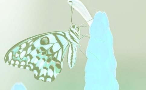 �^���ֲ����ӛģ��ϼ�7ƪ