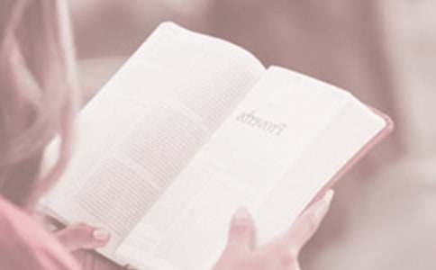 世界讀書(shū)日作文(通用18篇)