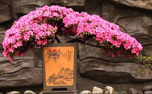 �����Ķ��N������900��