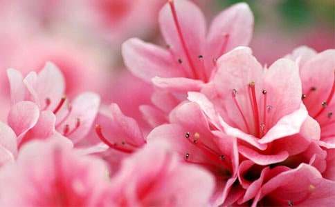 ���N�����꼉(j��)����200�֣�ͨ��31ƪ��