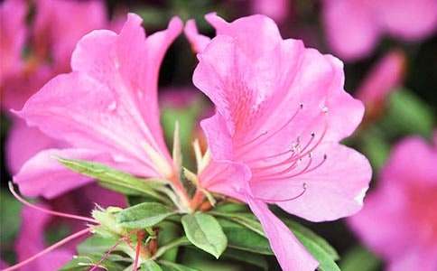 �ҼҵĶ��N���W(xu��)������200��