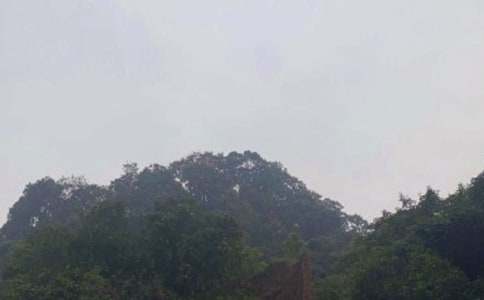 四川峨眉山300字_四年級作文_小學(xué)作文